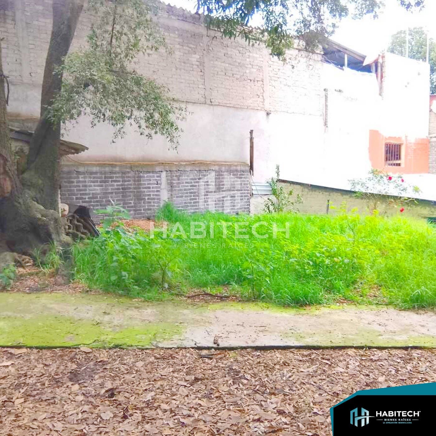 Terreno de 310 m² listo para construir en Chimilli 12