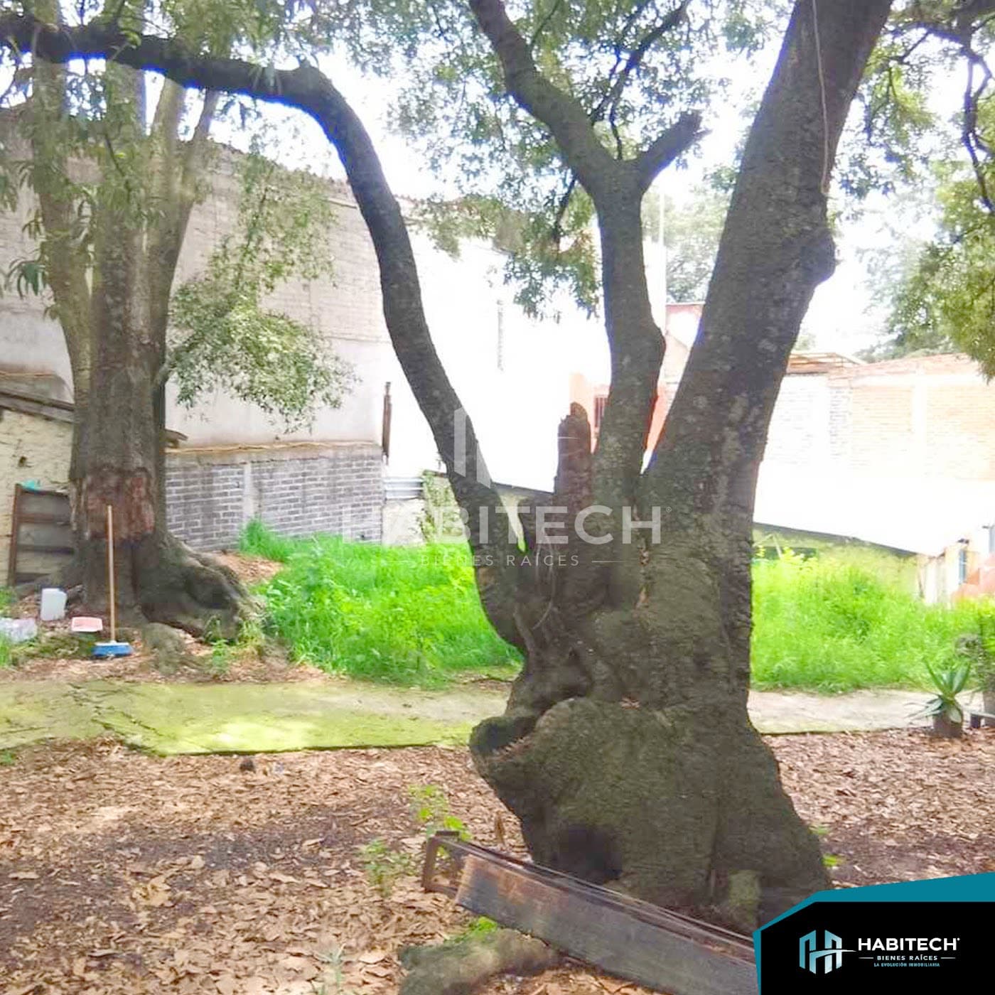 Terreno de 310 m² listo para construir en Chimilli 2