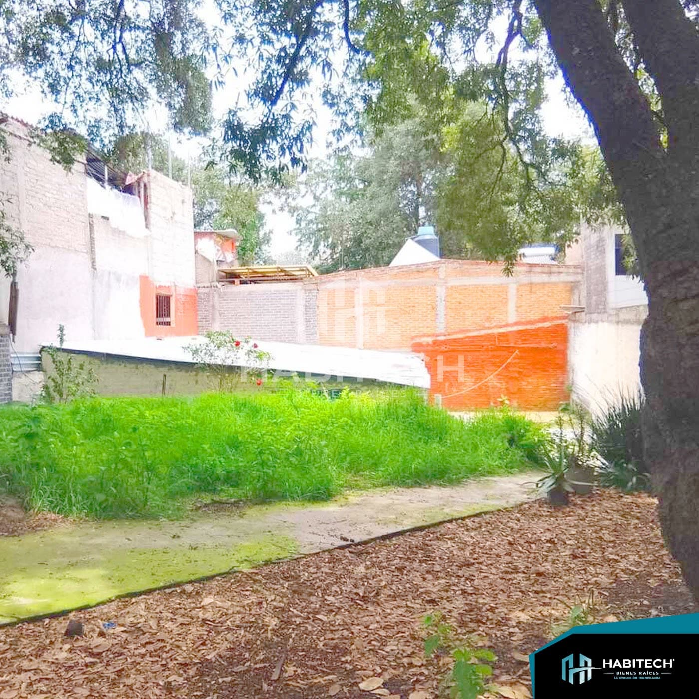 Terreno de 310 m² listo para construir en Chimilli 3