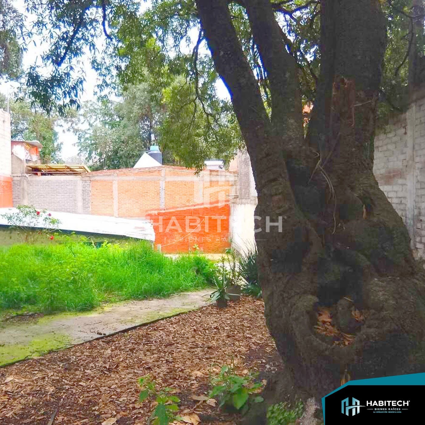 Terreno de 310 m² listo para construir en Chimilli 4
