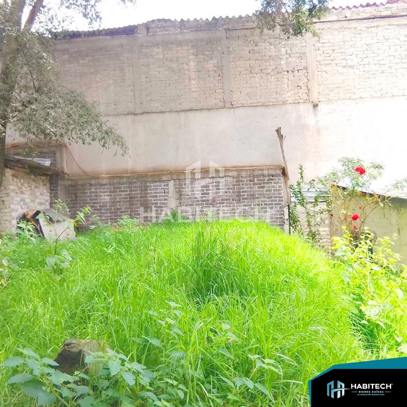 Terreno de 310 m² listo para construir en Chimilli 5