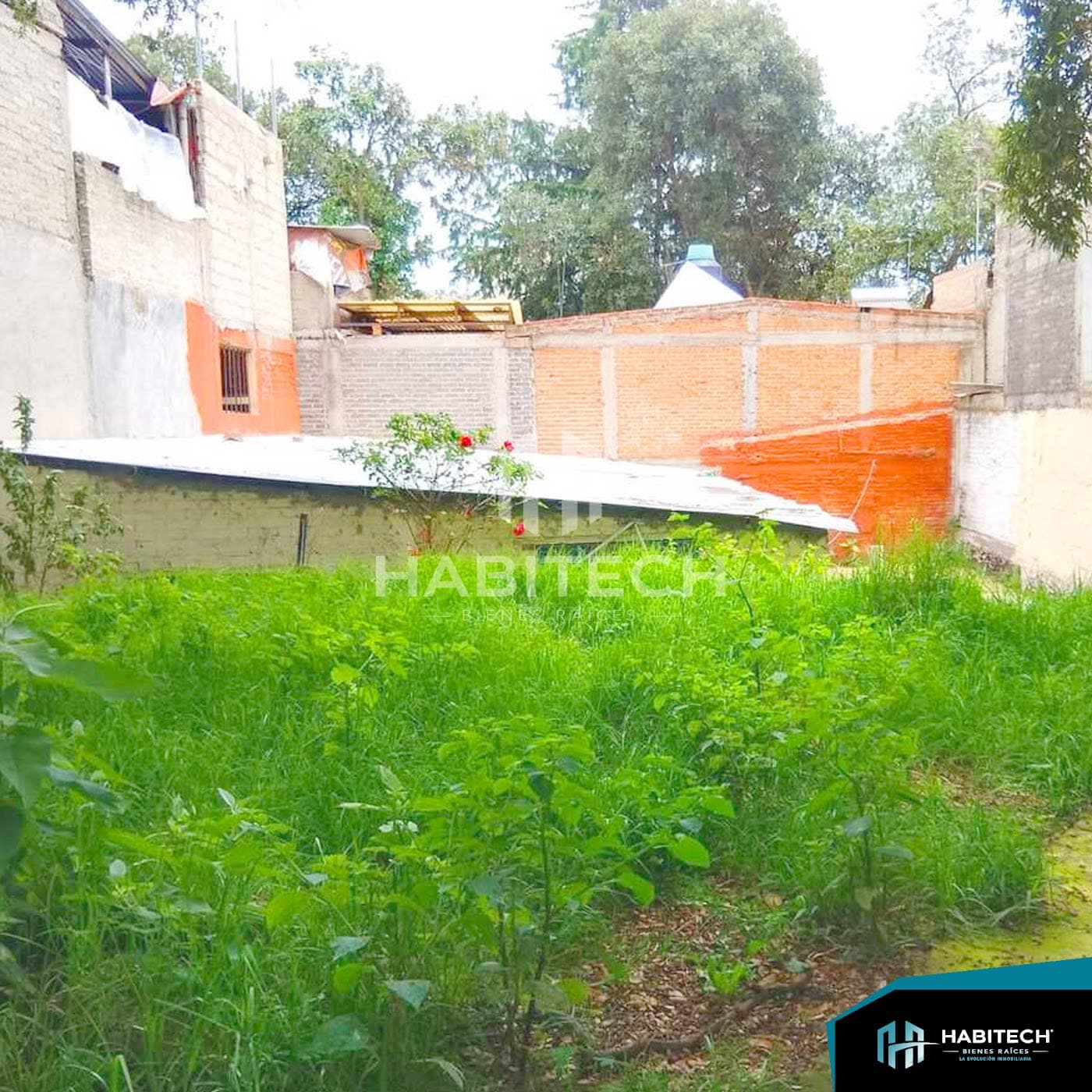 Terreno de 310 m² listo para construir en Chimilli 6