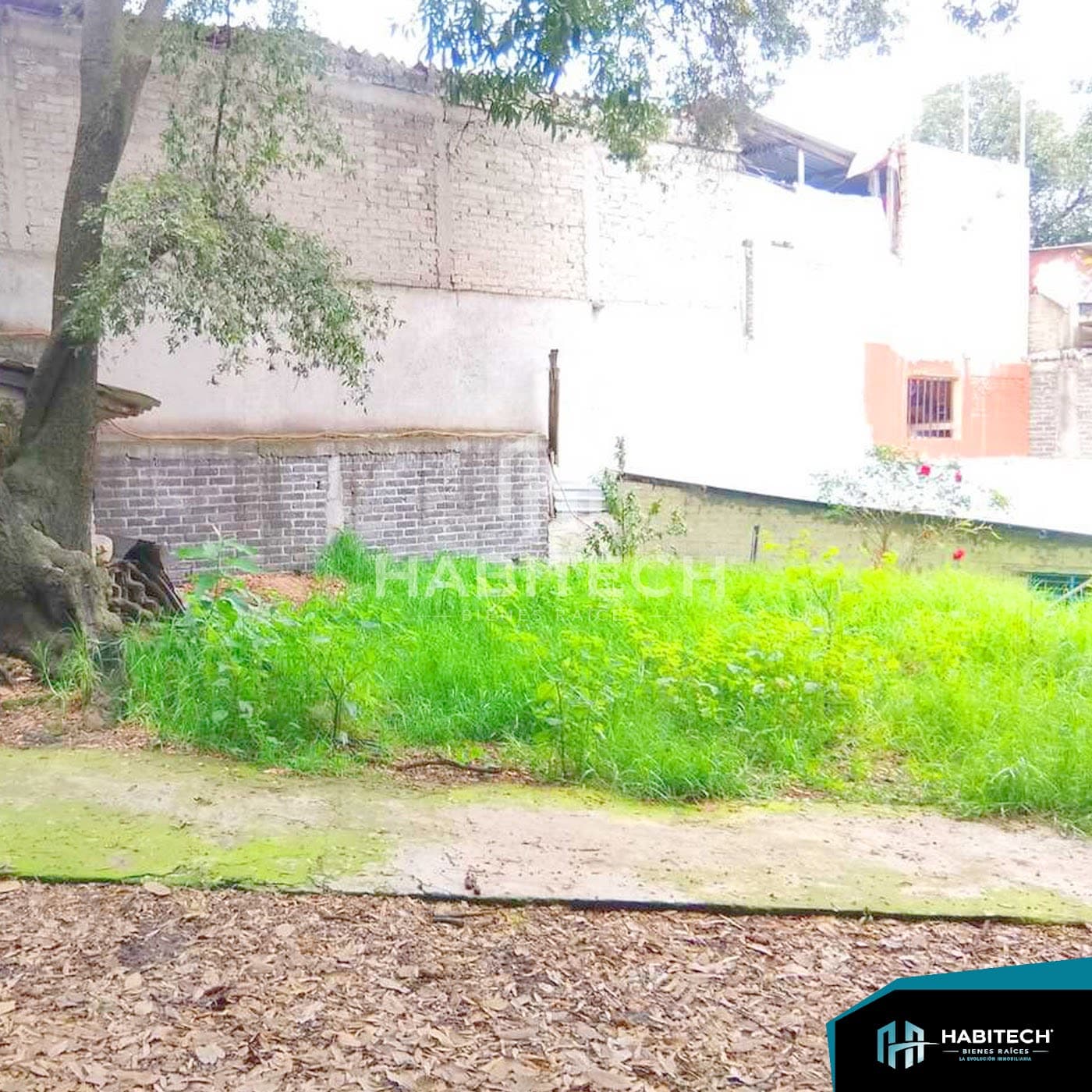 Terreno de 310 m² listo para construir en Chimilli 8